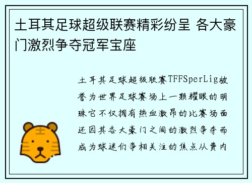 土耳其足球超级联赛精彩纷呈 各大豪门激烈争夺冠军宝座